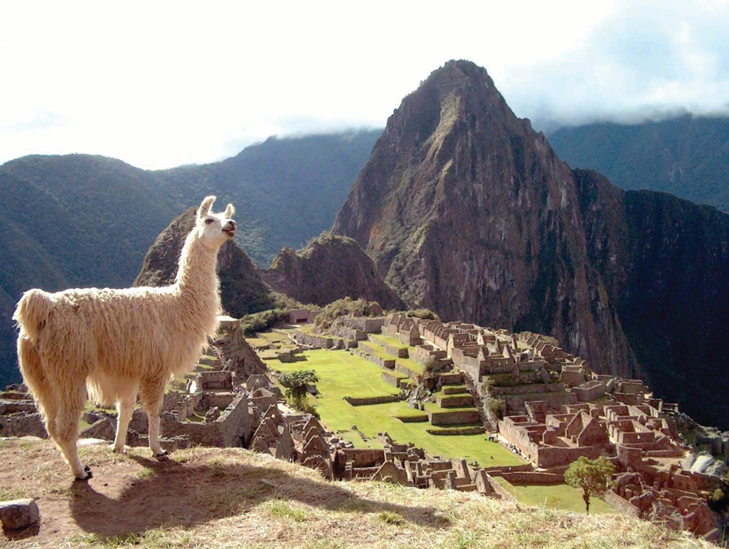 Des streakers canadiens arrêtés au Machu Picchu entraînent une série de changements de règles pour ce site emblématique.