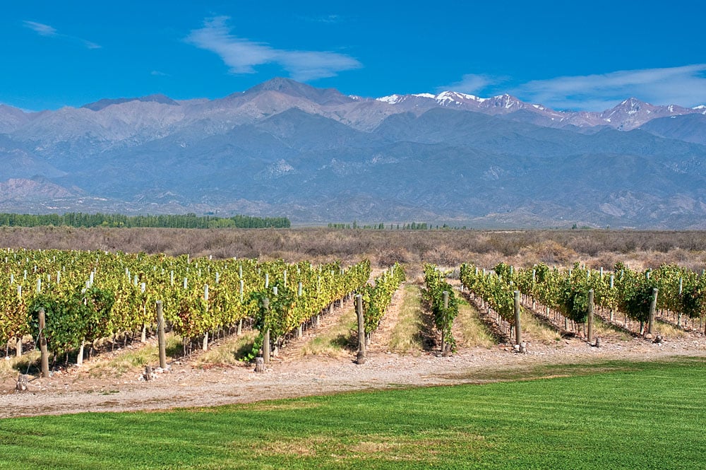 Un goût de Mendoza - La région viticole de l'Argentine