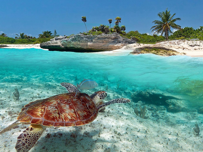 Les plages paradisiaques du Mexique Les plages paradisiaques du Mexique