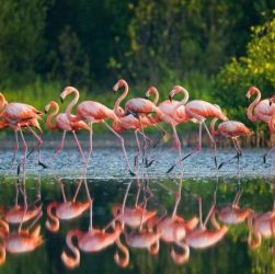 Cuba en août : Conseils de voyage pour la saison des pluies - img