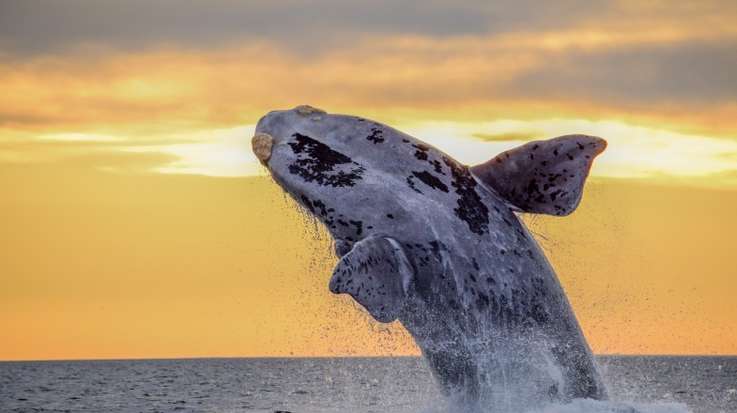 La Patagonie en septembre : Tout ce qu'il faut savoir - img