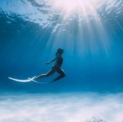 Le Mexique en avril : Des festivités à profusion - img