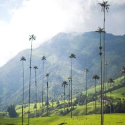 L'hiver en Colombie : Météo et destinations à visiter - img