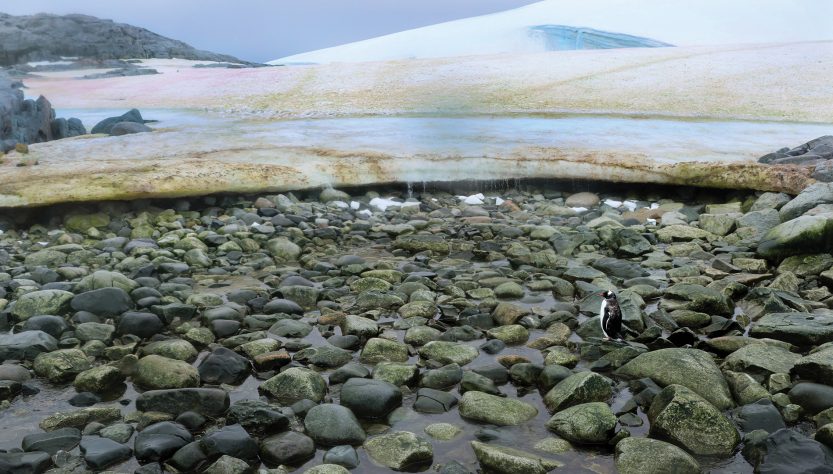 Le long chemin vers l'Antarctique - img